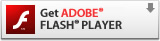 Down load Adobe Flash Player